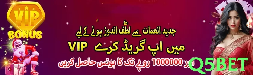 q5bet - 3